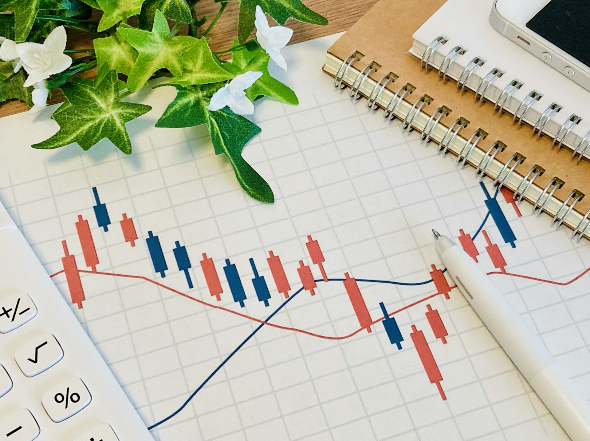 株式とストックオプション